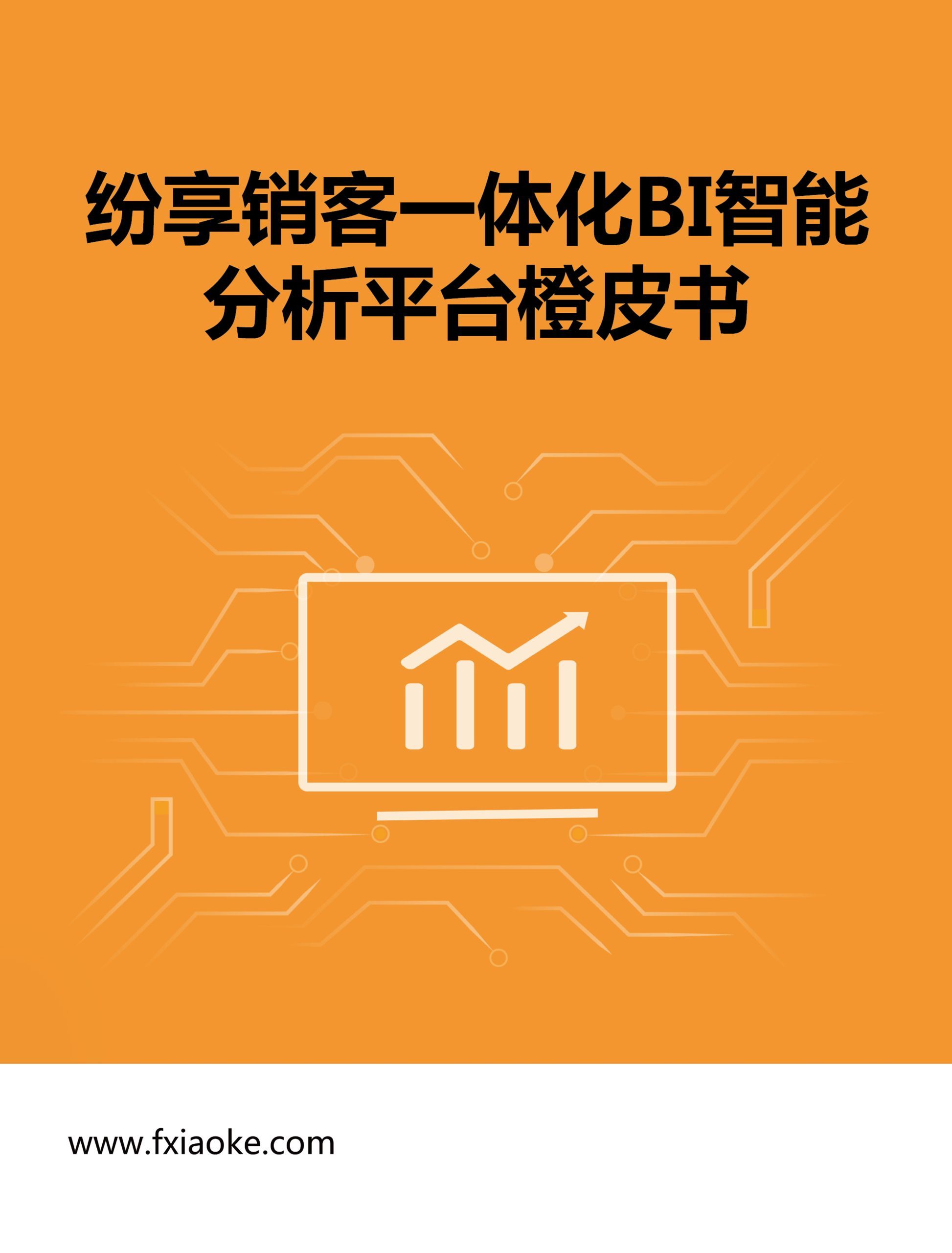一体化BI智能剖析平台橙皮书